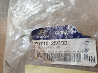 Original New Hyundai Tucson Rear Boot Lid Hatch Hinge