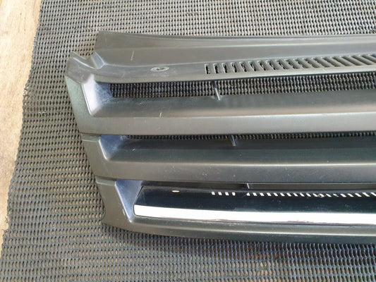 Volkswagen Polo Radiator Grille - Wear and Tear, Scratches
