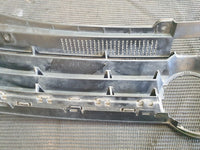 Volkswagen Polo Radiator Grille - Wear and Tear, Scratches