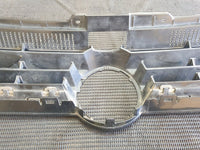 Volkswagen Polo Radiator Grille - Wear and Tear, Scratches