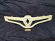 Renault Scenic III Radiator Grille - Wear and Tear
