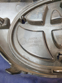 Toyota Corolla Radiator Grille - Wear and Tear
