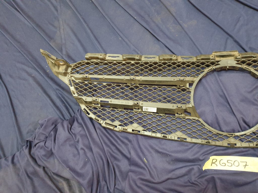 Mercedes-Benz C-Class W205 Radiator Grille Backing