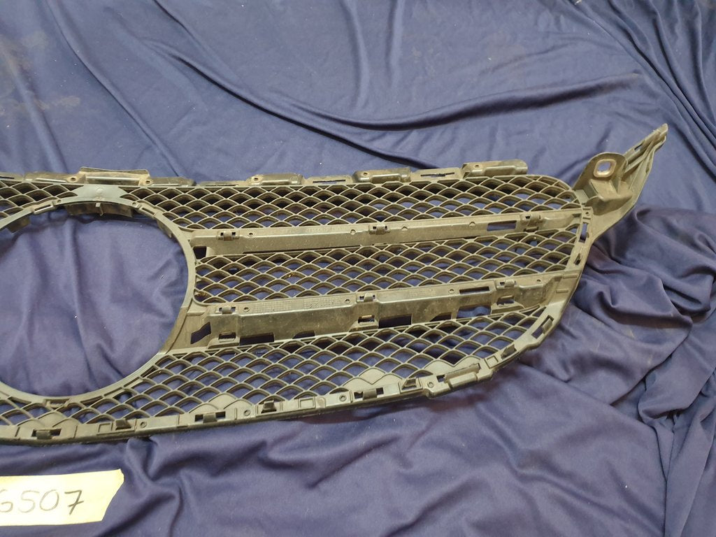 Mercedes-Benz C-Class W205 Radiator Grille Backing