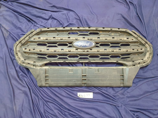 Ford Ecosport Radiator Grille - Wear and Tear, Crack