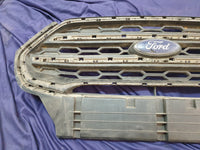 Ford Ecosport Radiator Grille - Wear and Tear, Crack
