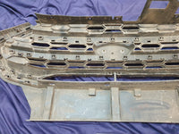Ford Ecosport Radiator Grille - Wear and Tear, Crack