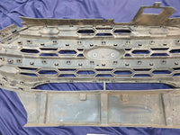 Ford Ecosport Radiator Grille - Wear and Tear, Crack