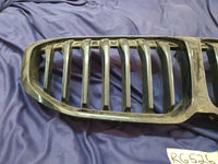 BMW 3 Series Front Bumper Kidney Grille