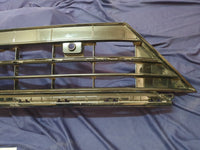 Volkswagen Tiguan Front Bumper Lower Grille