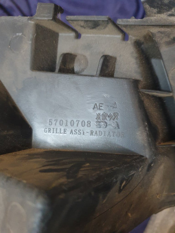 Jeep Grand Cherokee Radiator Grille Backing - Wear and tear