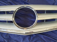 Mercedes-Benz B-Class W245 Radiator Grille - Wear and Tear Crack