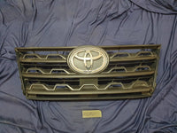 Toyota Fortuner Radiator Grille - Wear and Tear