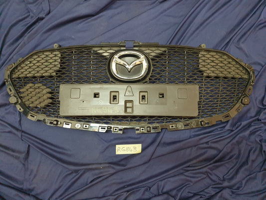 Mazda 3 Radiator Grille - Wear and Tear, Minor damage to mesh