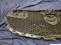 Mazda 3 Radiator Grille - Wear and Tear, Minor damage to mesh