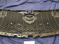 Mazda 3 Radiator Grille - Wear and Tear, Minor damage to mesh