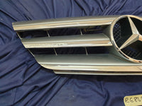 Mercedes-Benz B-Class W245 Radiator Grille - Wear and Tear Crack