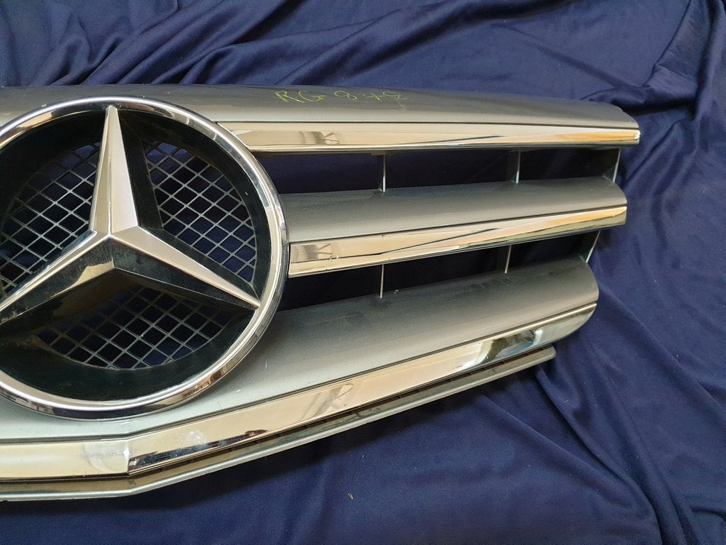 Mercedes-Benz B-Class W245 Radiator Grille - Wear and Tear Crack