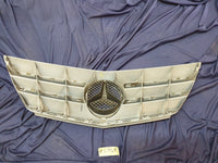 Mercedes-Benz B-Class W245 Radiator Grille - Wear and Tear Crack