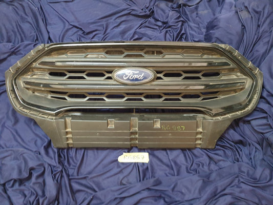 Ford Ecosport Radiator Grille - Wear and Tear, Scuffs