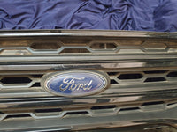 Ford Ecosport Radiator Grille - Wear and Tear, Scuffs