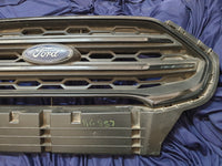 Ford Ecosport Radiator Grille - Wear and Tear, Scuffs