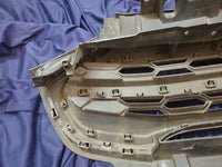 Ford Ecosport Radiator Grille - Wear and Tear, Scuffs