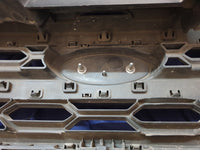 Ford Ecosport Radiator Grille - Wear and Tear, Scuffs