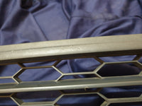 Ford Ecosport Radiator Grille - Wear and Tear
