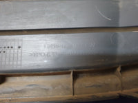 Ford Ecosport Radiator Grille - Wear and Tear