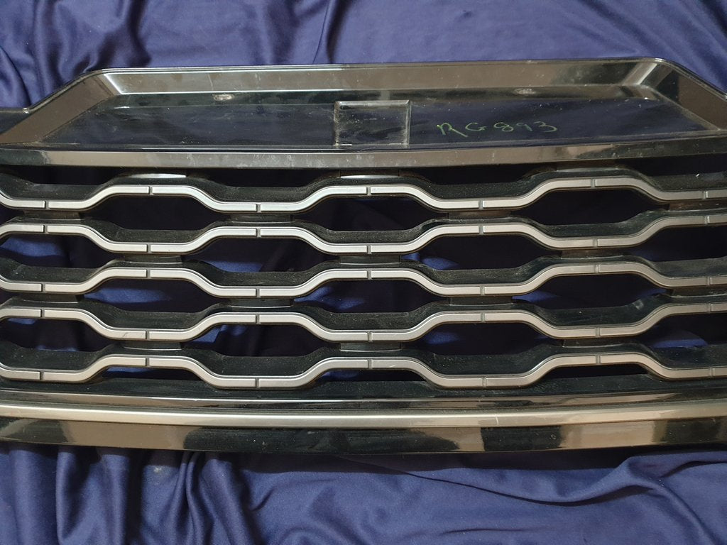 Land Rover Range Rover Radiator Grille - Light Wear and Tear