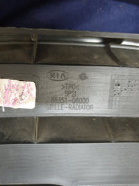 KIA Seltos Radiator Grille - Wear and Tear, Small scratches