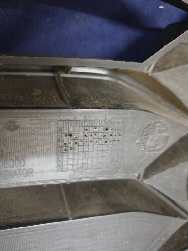 KIA Seltos Radiator Grille - Wear and Tear, Small scratches