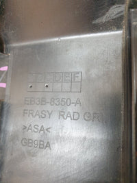 Ford Ranger Radiator Grille - Wear and Tear