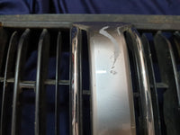 Toyota Land Cruiser Prado Radiator Grille - Wear and Tear, Scuffs