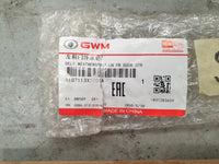 Original New Haval Jolion Pro 2025 Left Front Door Glass Outer Weather Strip Seal Chrome Moulding