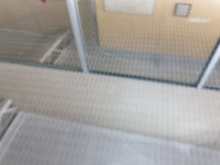 Mercedes-Benz A-Class W177 A200 OEM Used Door Components - Slight Damage or Wear and Tear